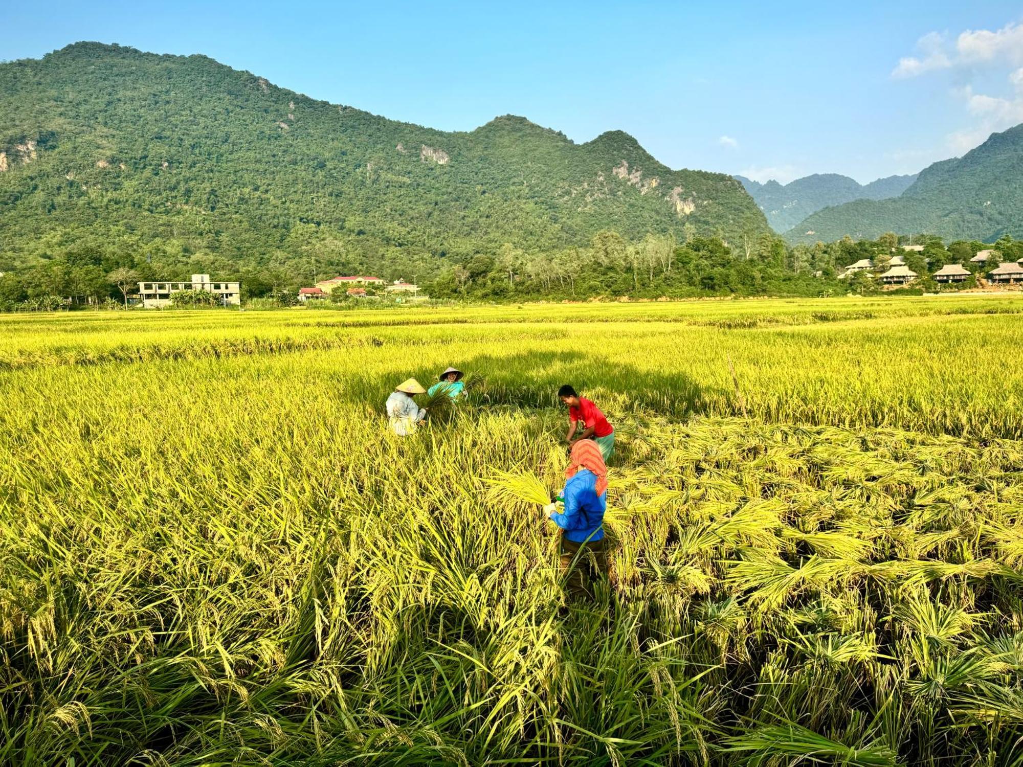 Mai Chau With Love Homestay Ban Bang Buitenkant foto